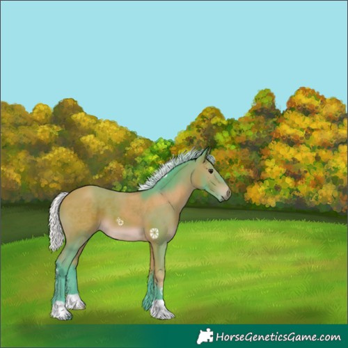 Horse Color:Watercolor Silver Bay 