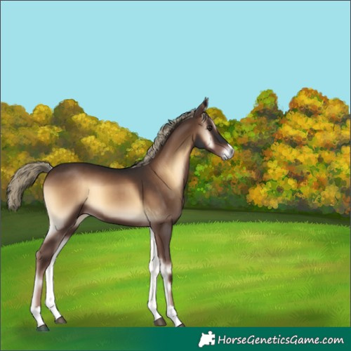 Horse Color:Liver Red Onyx 