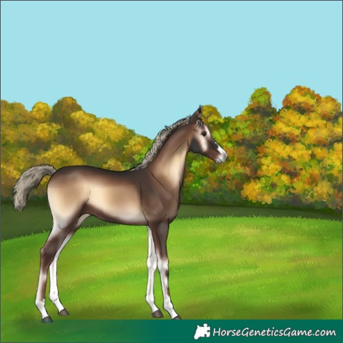 Horse Color:Liver Red Onyx 