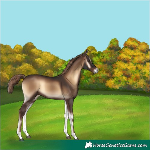 Horse Color:Liver Red Onyx 