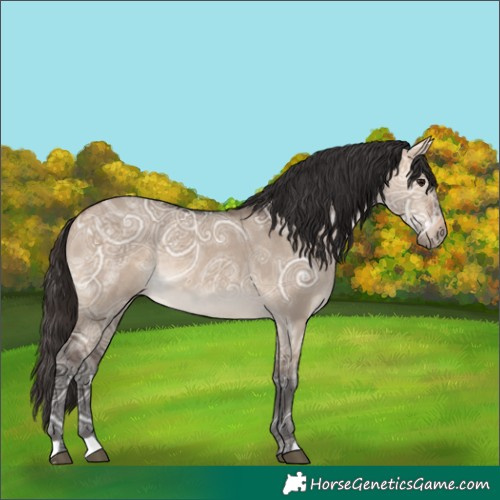 Horse Color:Bay Ice Dun Rabicano 