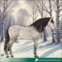 Horse Color:Bay Ice Dun Rabicano