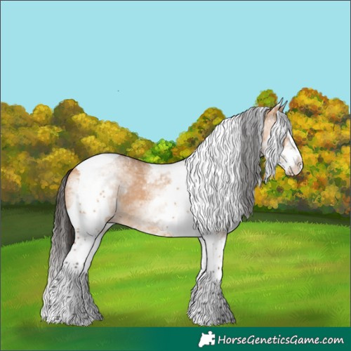 Horse Color:White Spotted Bay Dun Splash Tobiano 