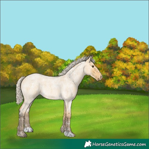 Horse Color:Silver Buckskin Ice Roan Dun Rabicano 