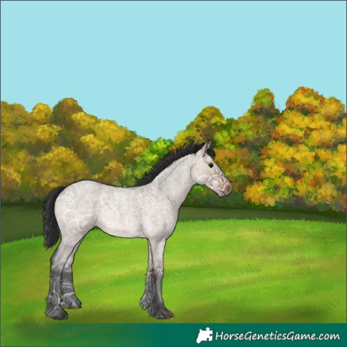Horse Color:Bay Ice Roan Dun Rabicano 