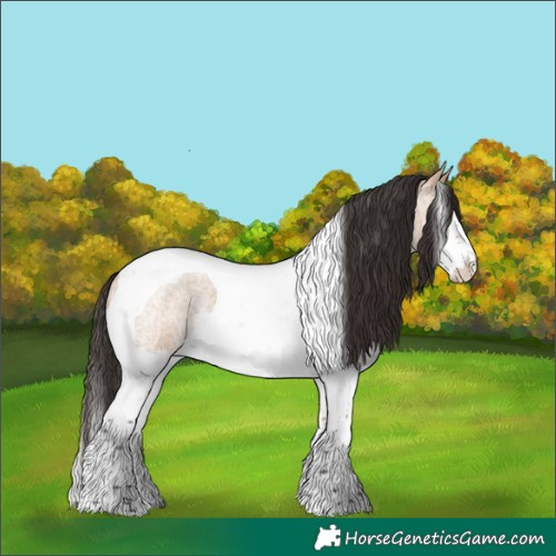 Horse Color:Bay Roan Dun Splash Tobiano 