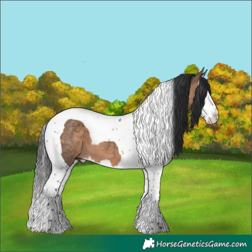 Horse Color:Brown Dun Splash Tobiano 