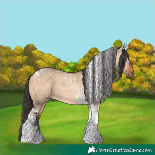 Horse Color:Bay Dun Tobiano Rabicano 