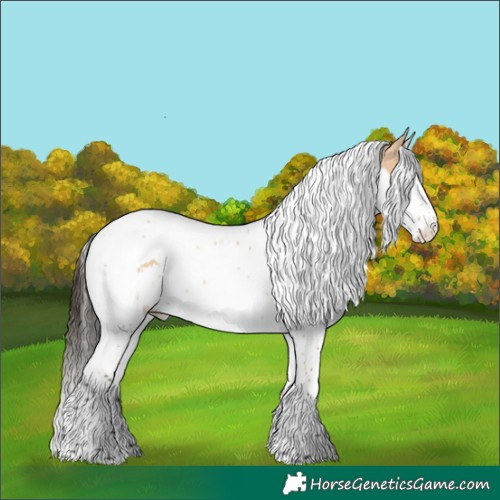 Horse Color:Bay Dun Splash Tobiano Rabicano 