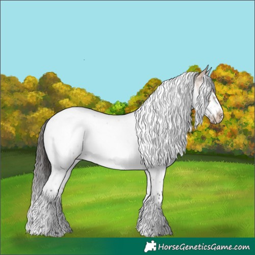 Horse Color:Bay Roan Dun Splash Tobiano Frame Rabicano 