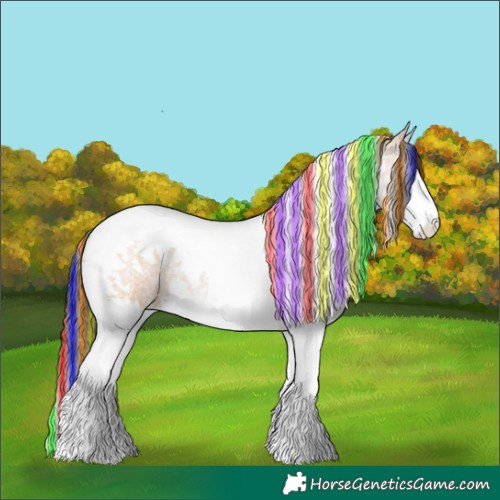 Horse Color:Painted Bay Roan Dun Splash Tobiano Rabicano 