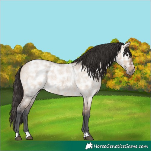 Horse Color:Bay Ice Roan Dun Rabicano 