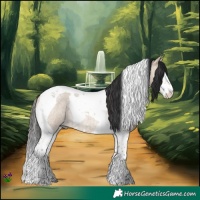 Horse Color:Brown Roan Dun Splash Tobiano Rabicano 