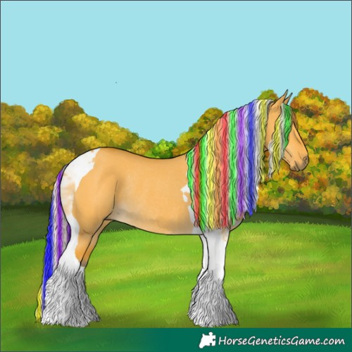 Horse Color:Painted Silver Buckskin Dun Tobiano Rabicano 