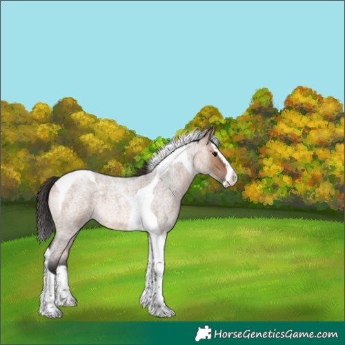 Horse Color:Brown Roan Dun Splash Tobiano Rabicano 