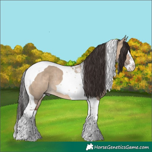 Horse Color:Brown Dun Splash Tobiano Rabicano 