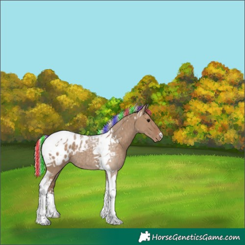 Horse Color:Painted Silver Grullo Tobiano Appaloosa Rabicano 