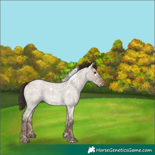 Horse Color:White Spotted Liver Red Dun Ice Roan Rabicano 