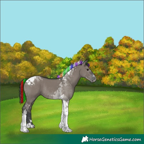 Horse Color:Painted Grullo Tobiano Rabicano 