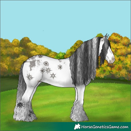 Horse Color:Grullo Sabino Splash 