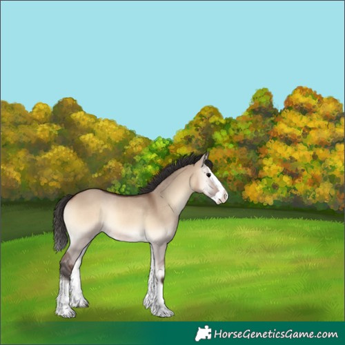 Horse Color:Brown Onyx Splash Rabicano 