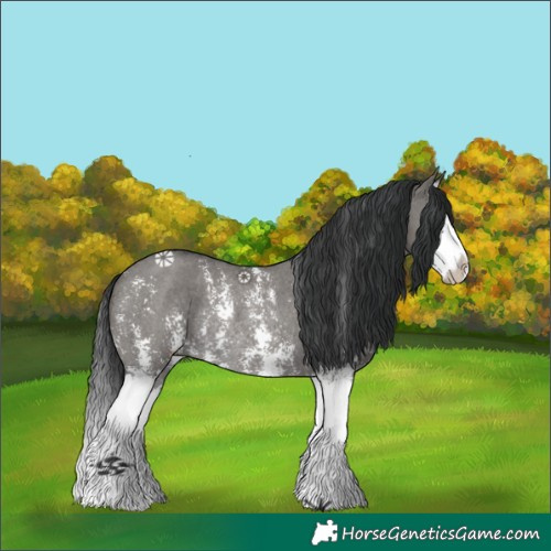 Horse Color:Grullo Sabino Splash Rabicano 