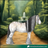 Horse Color:Brown Onyx Sabino Rabicano 