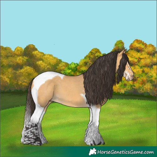 Horse Color:White Spotted Buckskin Dun Splash Tobiano 