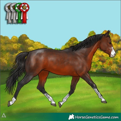 Horse Color:Brown Sabino 