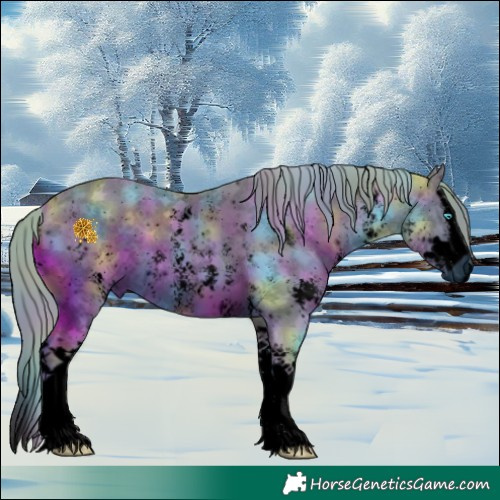 Horse Color:ERROR: UNKNOWN ANOMALY