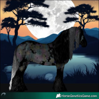 Horse Color:Void White Spotted Midnight Brown Chinchilla Dun Splash Brindle 