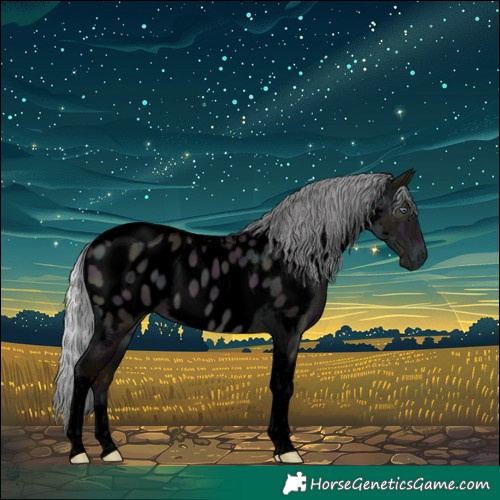 Horse Color:Void Midnight Chocolate Silver Brown Chinchilla Dun Tobiano Appaloosa 