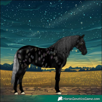 Horse Color:Void Midnight Chocolate Silver Brown Chinchilla Dun Tobiano Appaloosa 