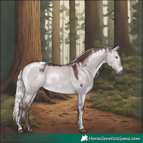 Horse Color:Chocolate Silver Brown Chinchilla Dun Tobiano 