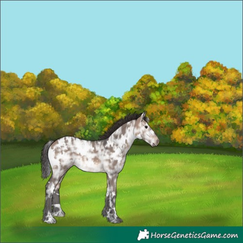 Horse Color:White Spotted Bay Ice Dun Mushroom 