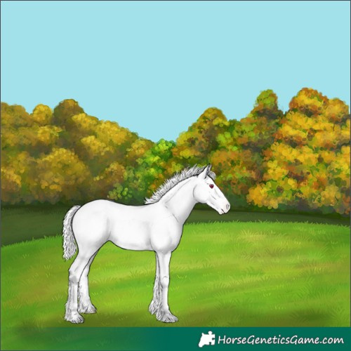Horse Color:Liver Red Dun Chinchilla Ice Tobiano Appaloosa 
