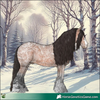 Horse Color:Bay Ice Rabicano 
