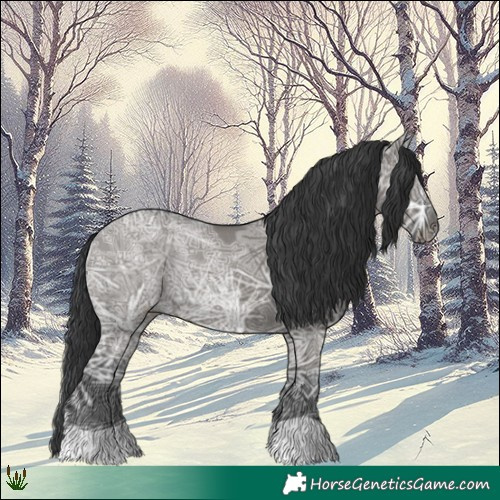 Horse Color:Grullo Ice Rabicano