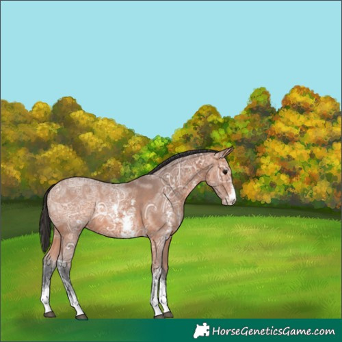 Horse Color:Bay Ice Sabino 