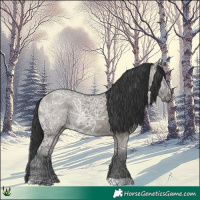 Horse Color:Grullo Ice Rabicano