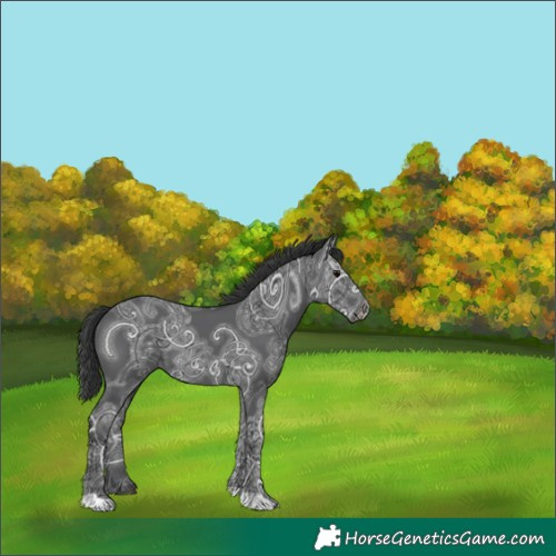 Horse Color:Black Ice 