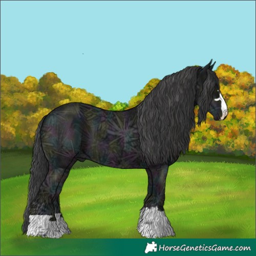 Horse Color:Midnight Black Ice 