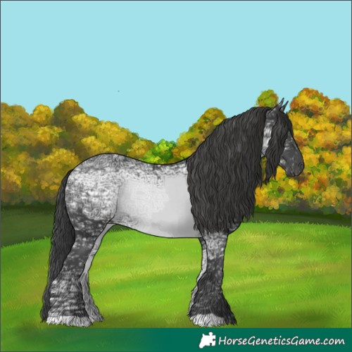 Horse Color:Black Ice 