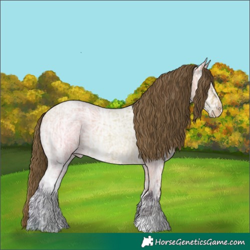 Horse Color:Buckskin Ice Roan Appaloosa Rabicano 