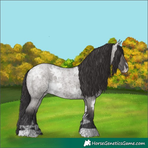 Horse Color:Smoky Grullo Ice Roan 