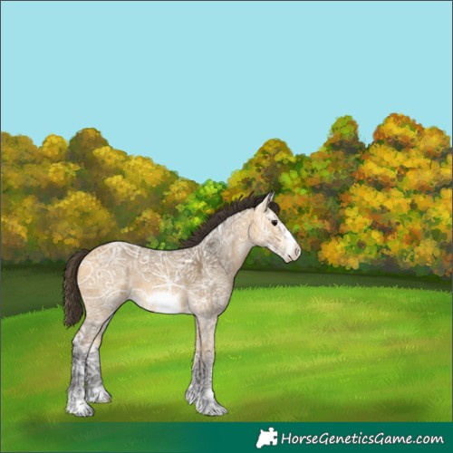 Horse Color:Buckskin Ice Frame 