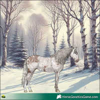 Horse Color:Silver Black Ice 