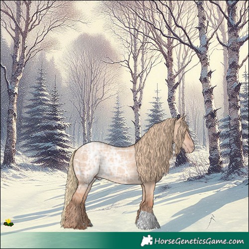 Horse Color:Gold Champagne Ice Dun 