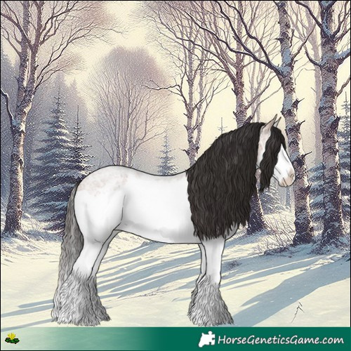 Horse Color:Bay Ice Roan Splash 