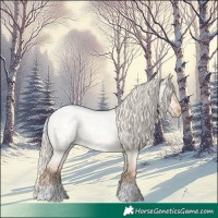 Horse Color:Silver Grullo Ice Roan Pearl 
